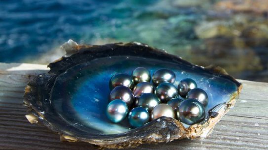 Pearls of Wisdom: 10 Facts About Pearls