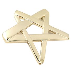 Tiffany & Co 18k Gold Star Picasso Large Brooch Pendant 1984