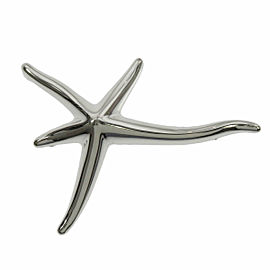 TIFFANY & Co 925 Silver Brooch LXGQJ-1194