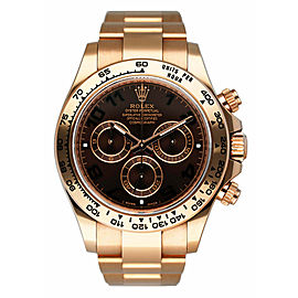 Rolex Daytona 18K Rose Gold Chocolate Dial Mens Watch