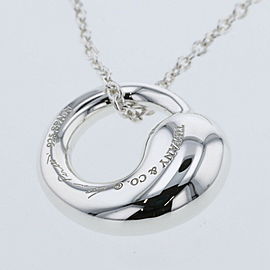 TIFFANY & Co 925 Silver Eternal circle Necklace LXGBKT-1155