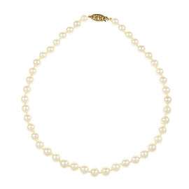 14K Yellow Gold with Cultured Pearl Necklace