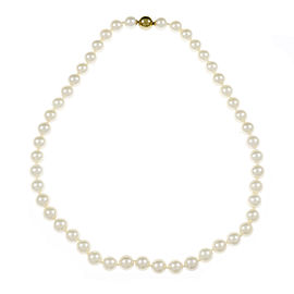 14K Yellow Gold with Cultured Pearl Necklace