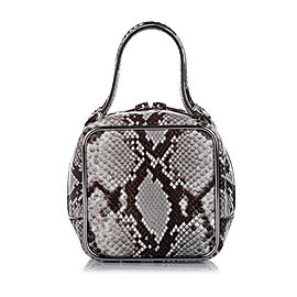 Halo Square Python Leather Handbag