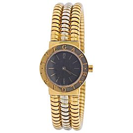 Bulgari Tubogas Watch Bracelet BB 23 2T