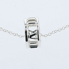 TIFFANY & Co 925 Silver Necklace LXGBKT-366