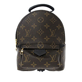 Louis Vuitton Monogram Palm Springs Mini