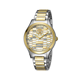 Roberto Cavalli Gold Gold Stainless Steel RV1L041M0106 Watch