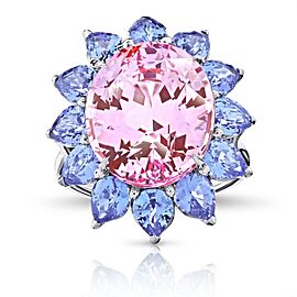 David Gross Oval Pink Natural No Heat Sapphire and Platinum Ring