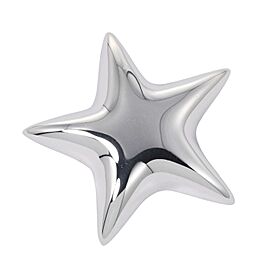 Tiffany & Co 925 Silver Star Brooch LXNK-1071