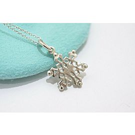 TIFFANY & Co Sterling Silver Pendant Necklace LXGoods-240