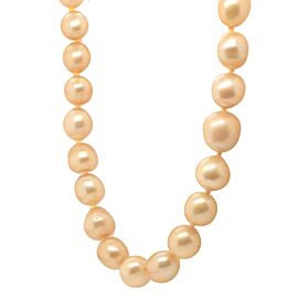 Rare South Sea Golden Pearl Strand Necklace with 14k Gold Clasp