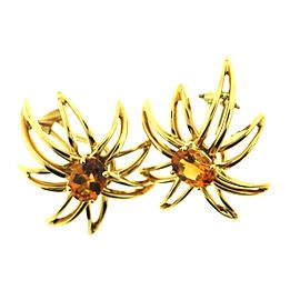 Tiffany & Co. Citrine Fireworks Earring - Pin Set