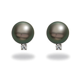 14k White Gold Diamonds Tahitian Black Cultured Pearl Earrings